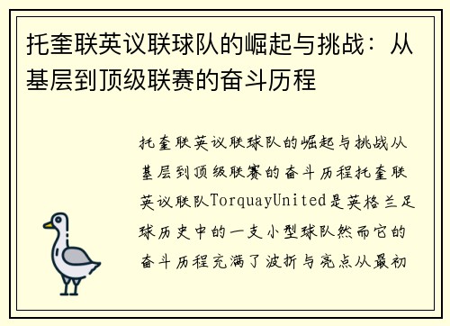 托奎联英议联球队的崛起与挑战：从基层到顶级联赛的奋斗历程