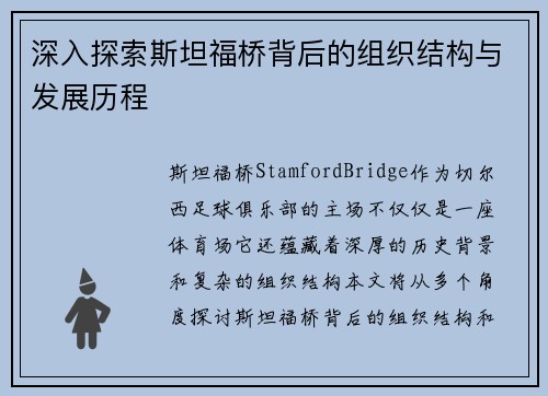 深入探索斯坦福桥背后的组织结构与发展历程 深入探索斯坦福桥背后的组织结构与发展历程