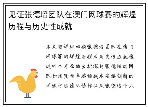 见证张德培团队在澳门网球赛的辉煌历程与历史性成就